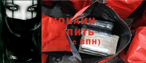 прущие грибы Карпинск