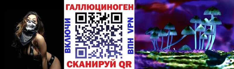 Псилоцибиновые грибы Psilocybe  ссылка на мегу как зайти  Красновишерск 